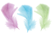 Plumes, couleurs pastels assorties - 50 pièces - Plumes décoratives – 10doigts.fr