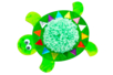 tortue pompon - Gommettes formes assorties – 10doigts.fr
