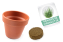 Kit pots de Ciboulette à planter - 12 pièces - Jardinage enfants - 10doigts.fr