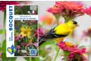 Mélange de graines de fleurs pour oiseaux - Jardinage enfants 57452 - 10doigts.fr