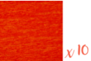 Papier crépon rouge 2 m x 50 cm - Lot de 10 feuilles - Papier crépon 06036 - 10doigts.fr