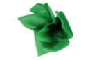 Papier de soie 50 x 66 cm (24 feuilles) - Vert foncé - Papiers de soie 44688 - 10doigts.fr