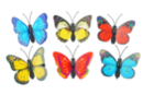 Papillons 3D sur pinces - 6 pièces - Décorations à coller - 10doigts.fr