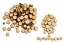 Rondelles de bois (Ø 7 mm à 2,5 cm - Épaisseur : 4 mm) - environ 100 pièces - Décors nature - 10doigts.fr