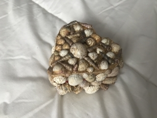 Boîte à bijou coeur coquillage - Déco du bois - 10doigts.fr