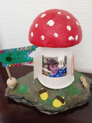 Champignon photo - 10doigts.fr