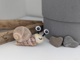 Petit escargot coquillages - 10doigts.fr