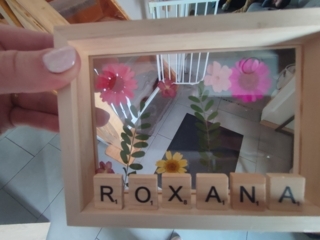 Herbier - 10doigts.fr