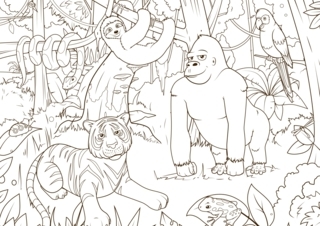 Animaux-jungle3 - Coloriages animaux - Coloriages - 10doigts.fr