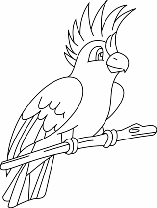 Perruche 002 - Coloriages animaux - Coloriages - 10doigts.fr