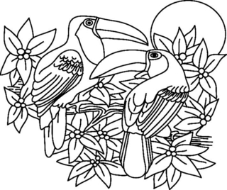 Toucan02 - Coloriages animaux - Coloriages - 10doigts.fr