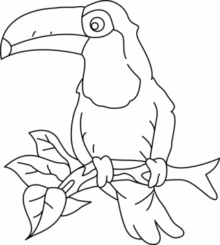 Toucan03 - Coloriages animaux - Coloriages - 10doigts.fr