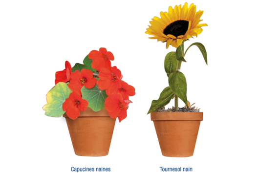 Kit "horticulteur" - Activités manuelles la nature - 10doigts.fr - 2