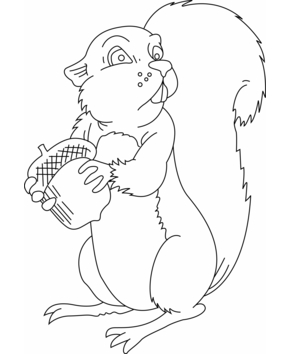 Ecureuil 04 - 10doigts.fr