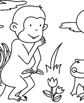 Singe09 - 10doigts.fr