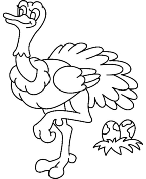 Autruche 01 - 10doigts.fr