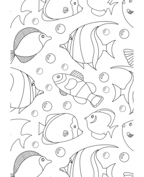 Animaux-marins10 - 10doigts.fr