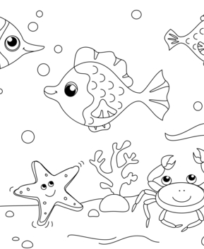 Animaux-marins11 - 10doigts.fr