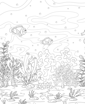 Animaux-marins6 - 10doigts.fr