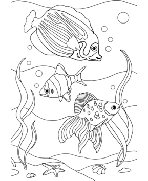 Animaux-marins8 - 10doigts.fr