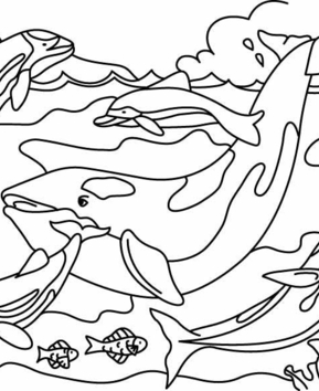 Baleine 03 - 10doigts.fr