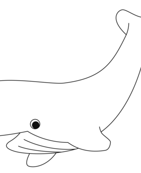 Baleine 08 - 10doigts.fr