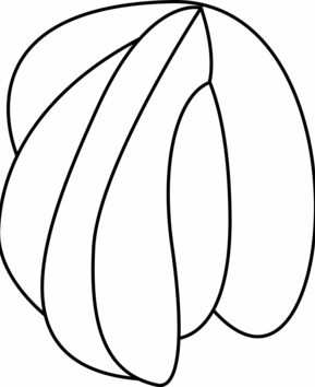 Coquillage 01 - 10doigts.fr