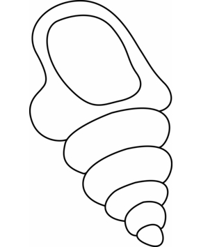 Coquillage 03 - 10doigts.fr