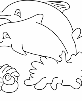 Dauphin 03 - 10doigts.fr