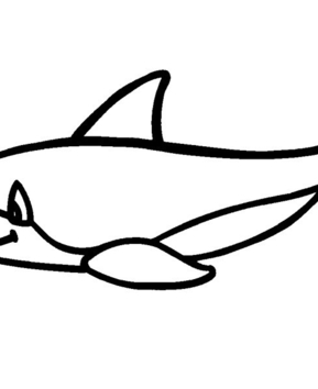 Dauphin 05 - 10doigts.fr