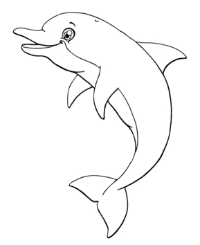 Dauphin 09 - 10doigts.fr