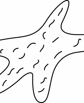 Etoile de mer 01 - 10doigts.fr