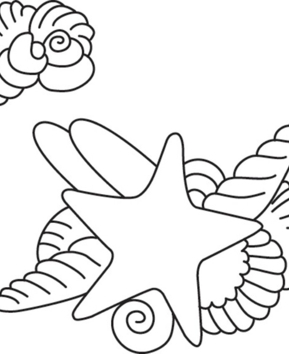 Etoile de mer 02 - 10doigts.fr