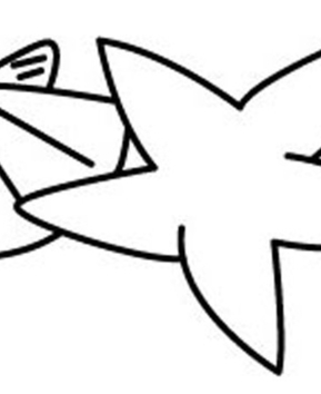 Etoile de mer 03 - 10doigts.fr