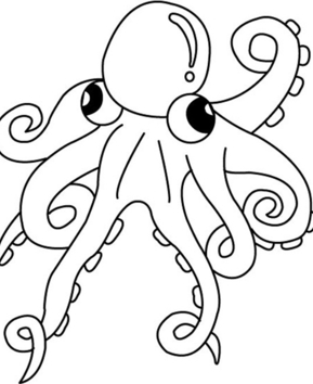 Pieuvre 05 - 10doigts.fr