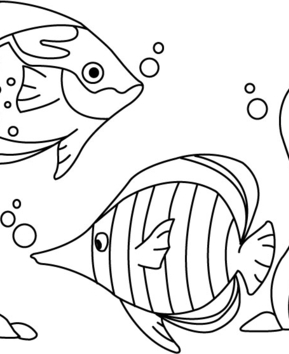 Poisson 03 - 10doigts.fr