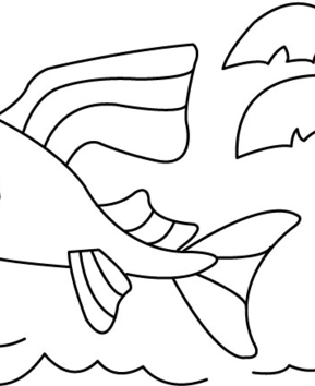 Poisson 06 - 10doigts.fr