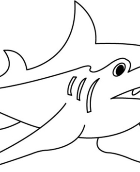 Requin 01 - 10doigts.fr