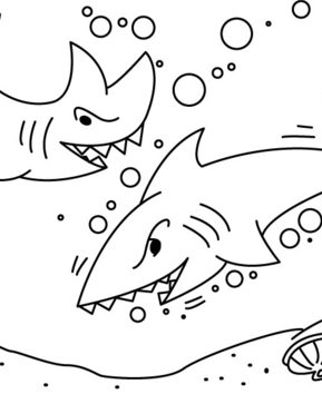 Requin 02 - 10doigts.fr