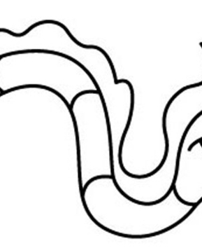 Ver 01 - 10doigts.fr