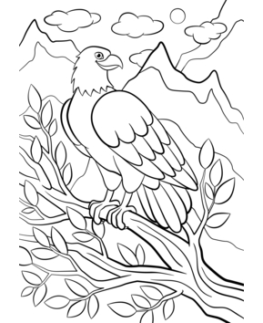 Animaux-volants3 - 10doigts.fr