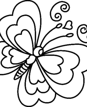 Papillon 06 - 10doigts.fr