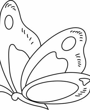 Papillon 13 - 10doigts.fr