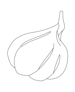 Ail 01 - 10doigts.fr