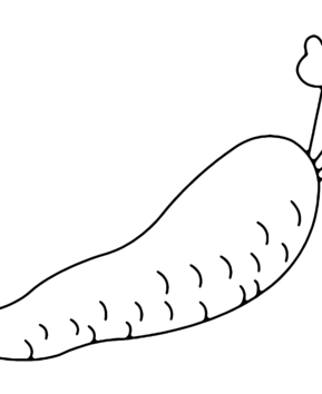 Carotte 02 - 10doigts.fr