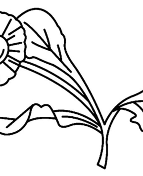 Fleur 008 - 10doigts.fr