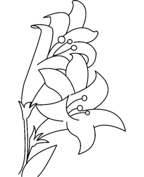 Fleurs 023 - 10doigts.fr