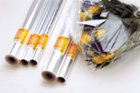 Papier cristal transparent - Film plastique, rhodoïd - 10doigts.fr