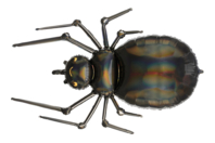 ballon araignée halloween - Ballons d'halloween - 10doigts.fr