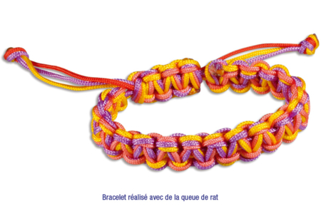 Cordon polyester Queue de rat : Idée Créa - Cordon queue de rat – 10doigts.fr